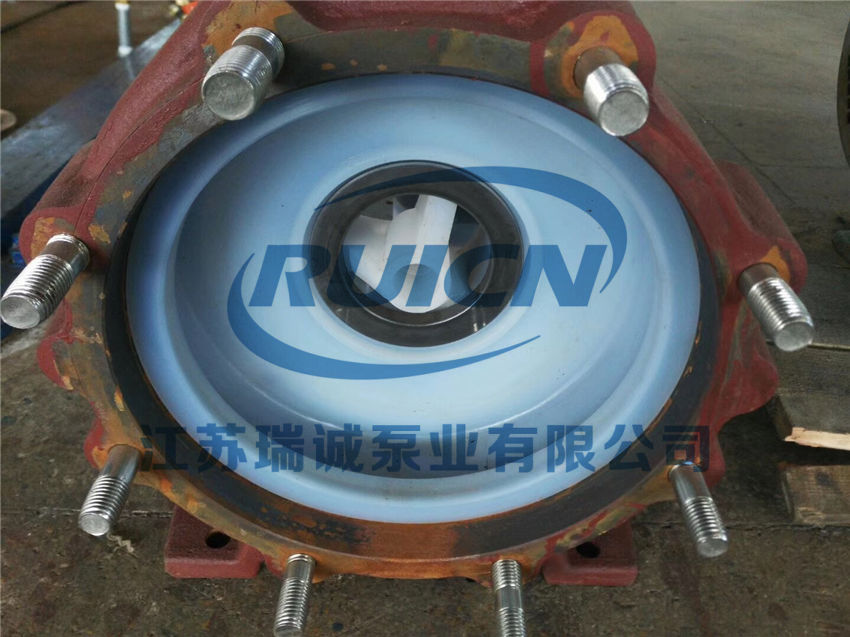 1593256181126221.jpg IMG_3786.JPG